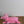 Load and play video in Gallery viewer, Mamanimals Plüschtier Schweinemama mit Babys