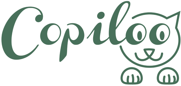 Copiloo Online-Shop Logo