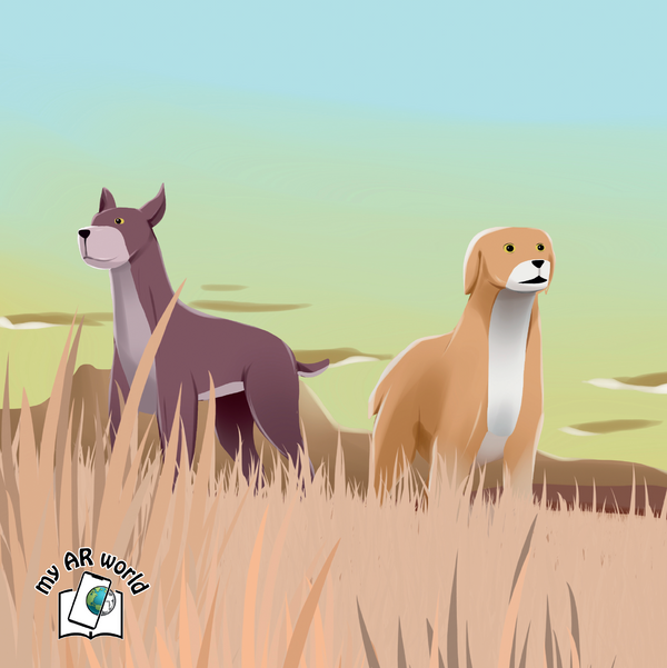 my AR world - bring the animals to life